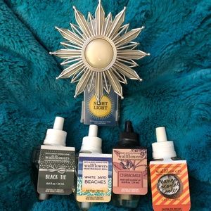 🆕Variety Wallflower Bundle